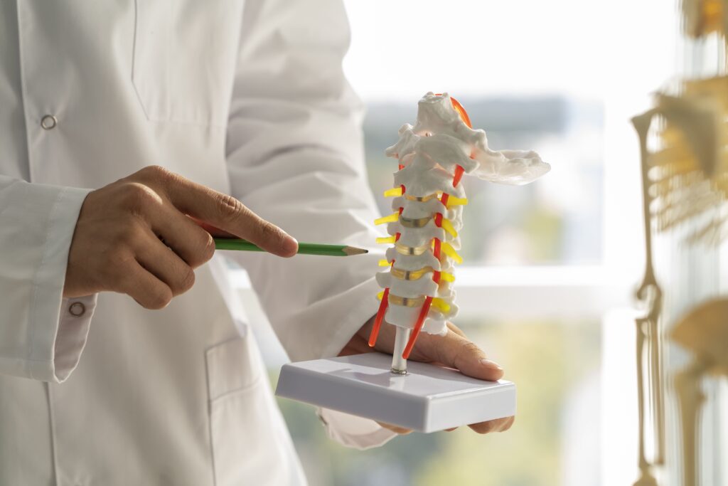 Relief Care vs. Corrective Care Chiropractors: What’s the Difference and Why It Matters front-view-doctor-explaining-anatomy